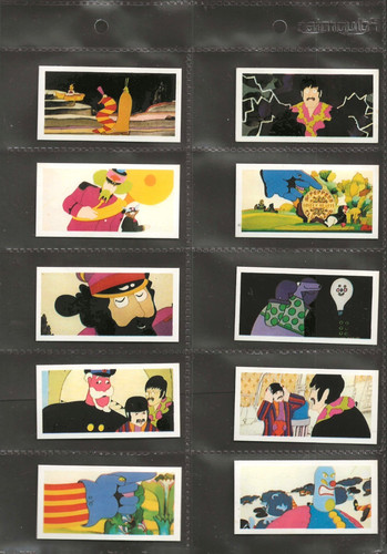 Primrose confectionery cards - primrose,
