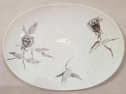 Rosenthal continental china - continental,