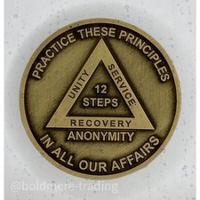 12 Step Alcoholics Anonymous Medallion Bronze Plated AA Sober Chip Coin