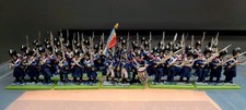 54x french old guard - 54x,