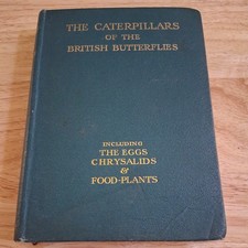 The Caterpillars Of the