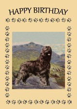 BRIARD DOG BIRTHDAY GREETINGS