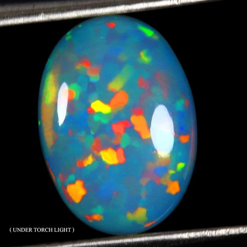 Oval aaa floral flash - flash, of
