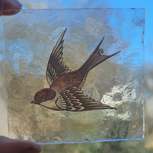 Stained glass swallow bird - glass,