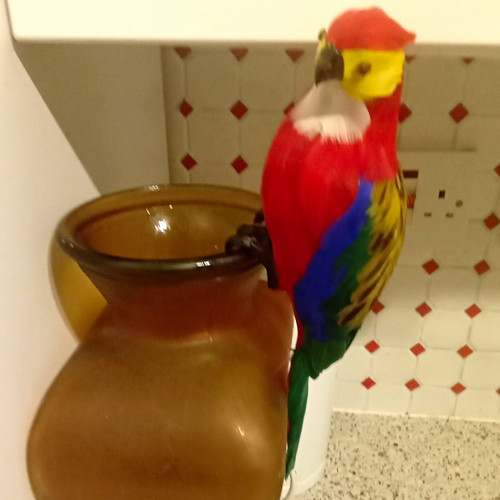 Multicolour feather parrot - multicolour,