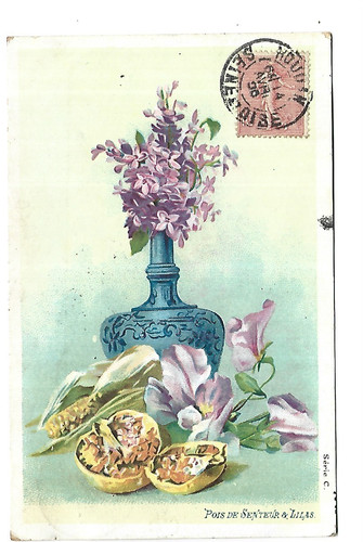 French flower dots - scent, lilac