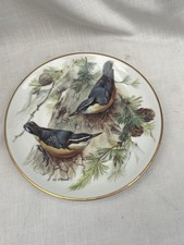 Corsican Nuthatch WWF