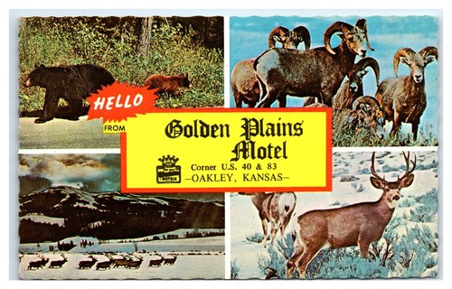 Oakley postcard golden - oakley,, ks