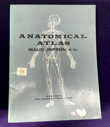 Vintage anatomical atlas - anatomical, by