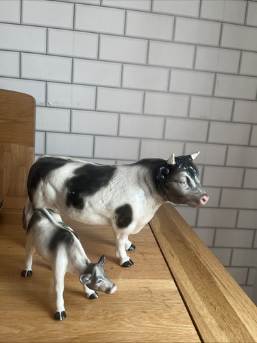 Ornamental cows - ornamental,
