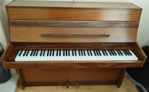 Danemann upright acoustic - upright,