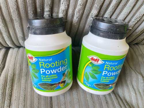 Doff natural hormone rooting - natural,