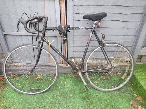 Black raleigh reynolds - black,
