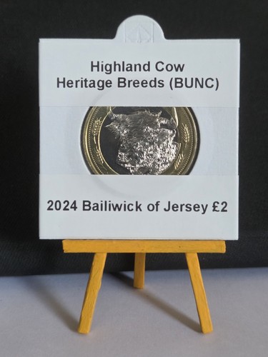 Highland cow heritage breeds - highland,