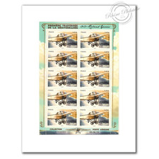 PA N°_77 MONOPLAN ROLAND