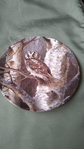 Wedgwood bond owls - bond's, owls,