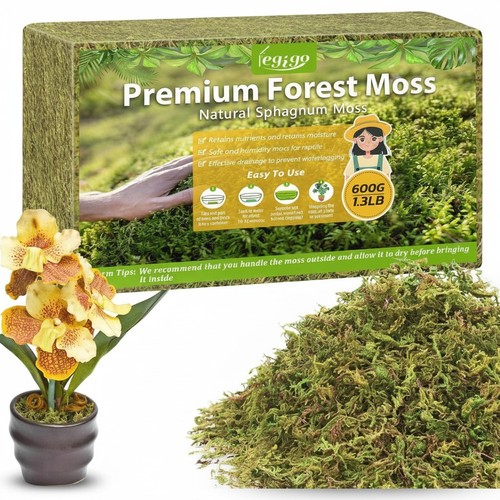 Sphagnum moss for plants 600g - plants,