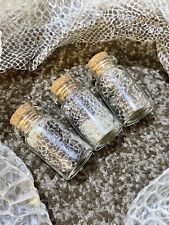 Royal Python Ball Python Snake