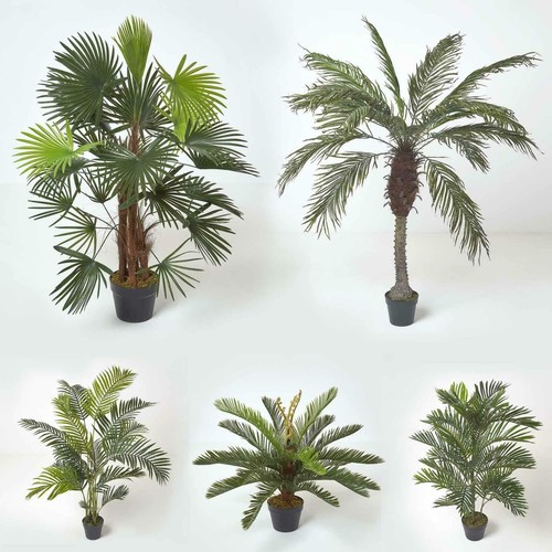 Artificial palm tree - artificial,