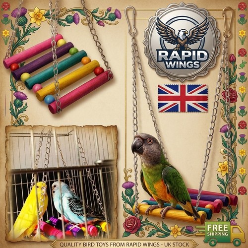 Pet bird parrot parakeet - bird,