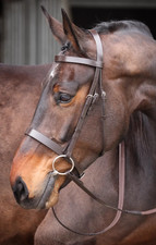 Shires Velociti GARA PLAIN