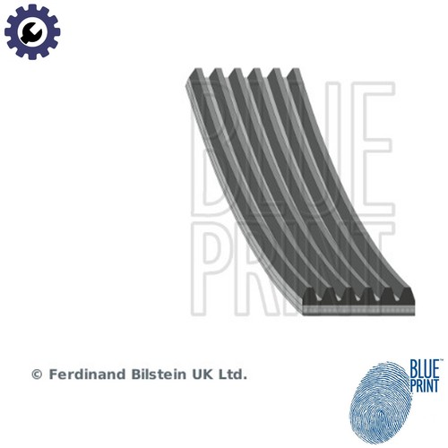 Vribbed belt ad06r2464 - for, egh