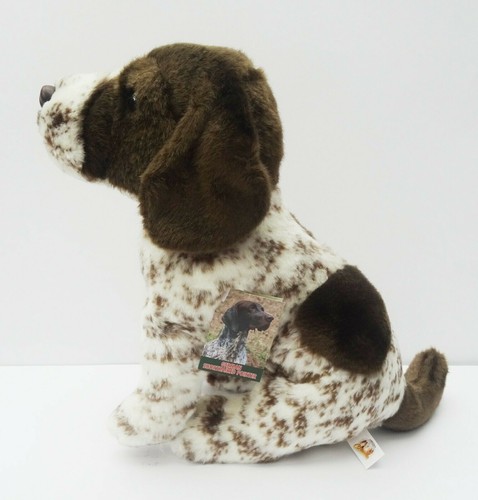 German short haired - pointer, as
