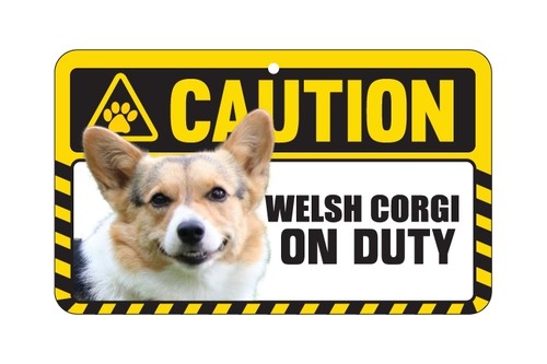 Dog sign caution beware - caution,