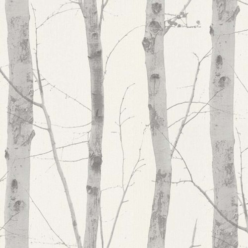 Birch tree wallpaper silver - wallpaper,