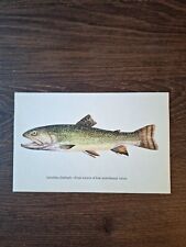 Vintage Brook Trout Fish Print, Book Plate J. Malý
