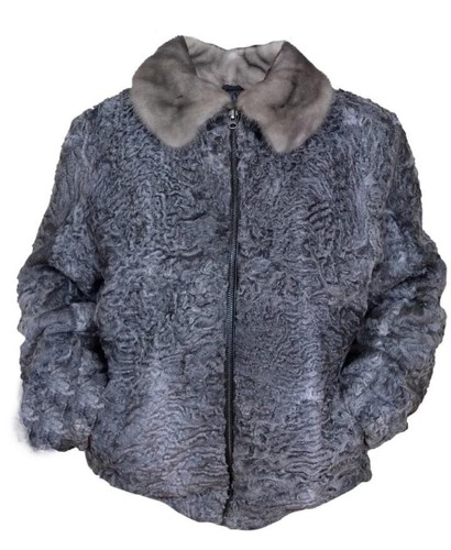 Gray real persian lamb - persian,