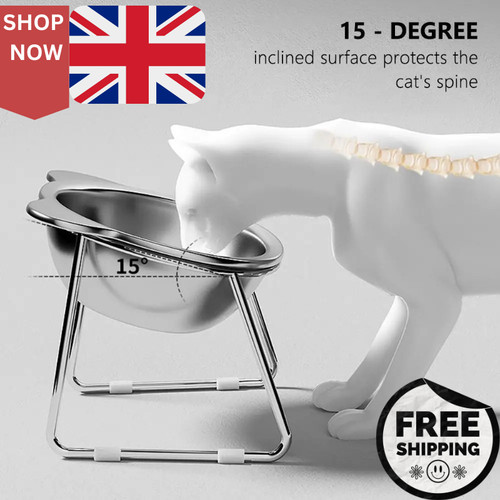 Raised cat bowl - raised,