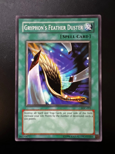 Gryphon feather duster - feather,