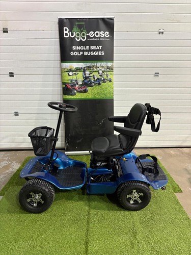 Used golf buggy lithium - used,