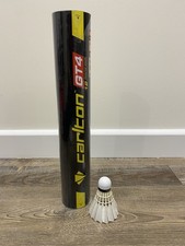 Carlton GT4  12no Practice