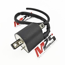 Ignition Coil 80mm For