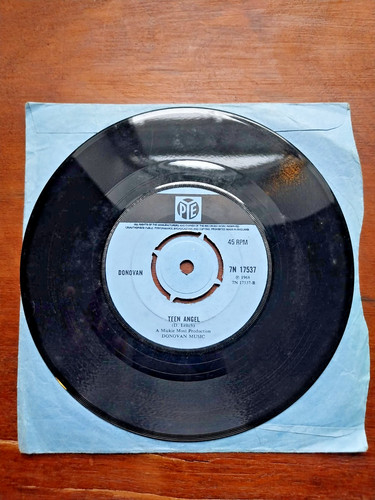 Donovan hurdy gurdy - gurdy, man
