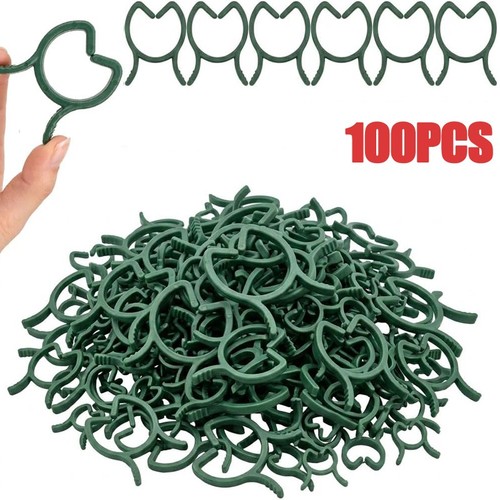 100x tomato climbing - &, plant