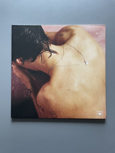 Harry styles - styles, style