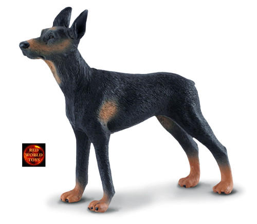 Doberman pinscher dog - pinscher,