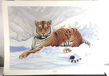 Jim Oliver Siberian Tiger