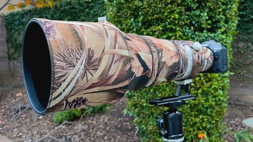 Canon 400mm l is - f2.8,
