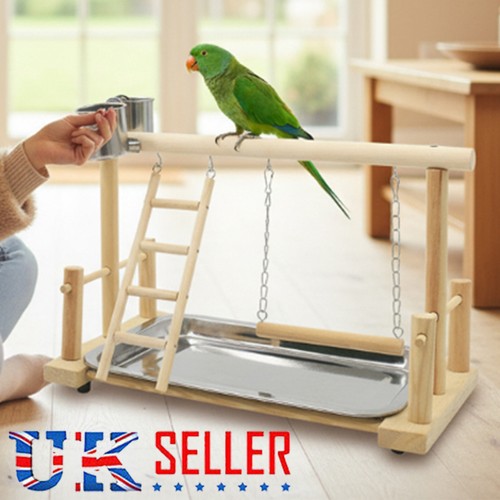 Parrot playstand bird play - playstand,