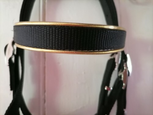 Gold browband bridle shetland - bridle,