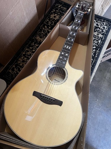 Ibanez ae170 ntr performer - ibanez,