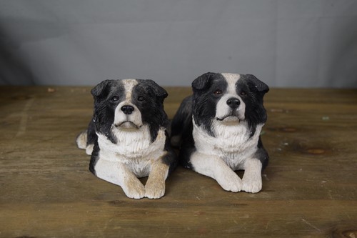 Sandicast border collie dog - sandicast,