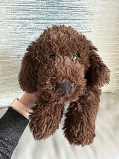 Asda Chocolate Brown Cockapoo