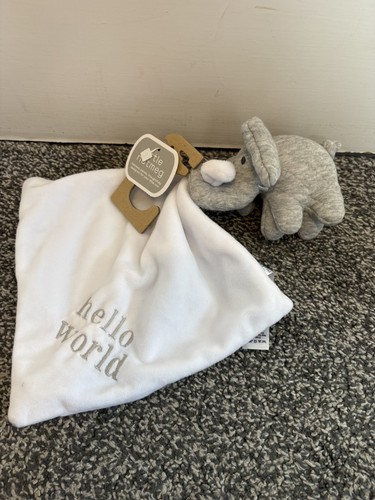 Little nutmeg grey teddy - little,