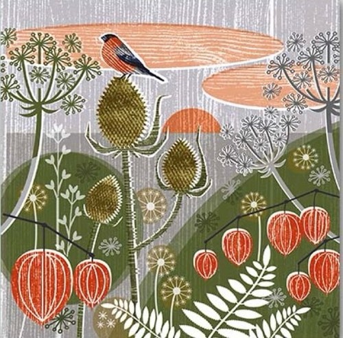 Seedheads bullfinch fine art - bullfinch,