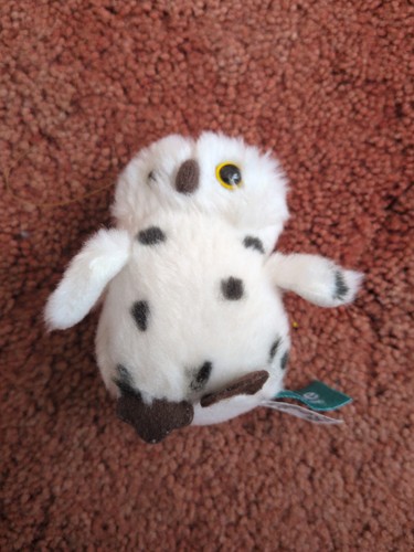 Living nature little - little, owl